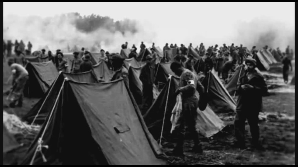 Image3
